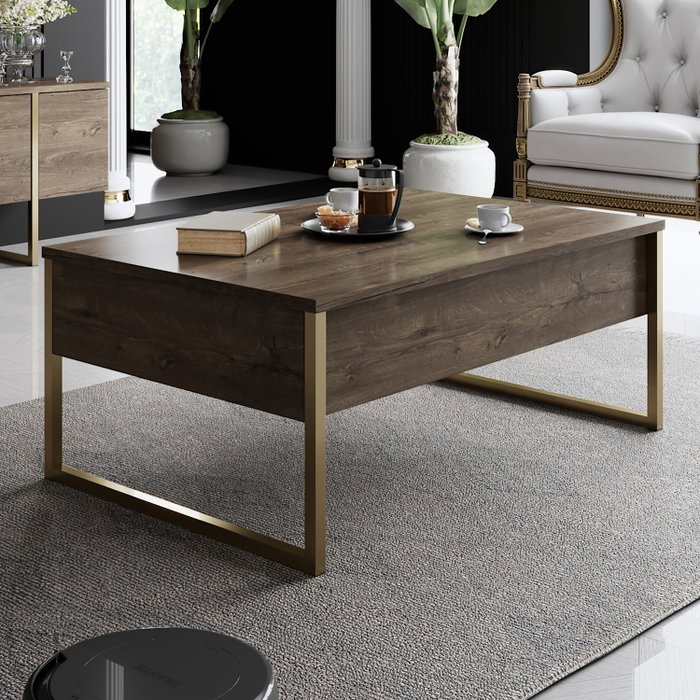 Hanah Home Luxe Mesa de Centro Nogal y Dorado